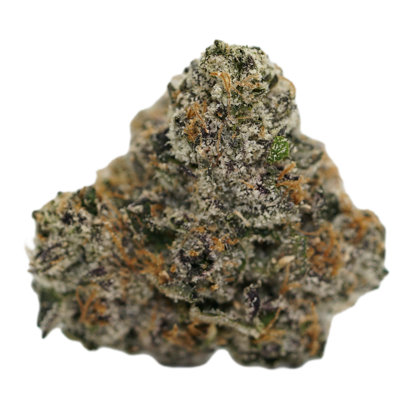 (FLVR'S STICKY RICE) - MANGO - Image 2